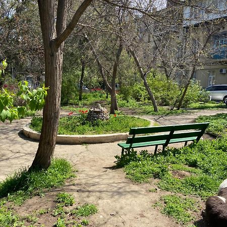 אודסה Софиевская מראה חיצוני תמונה
